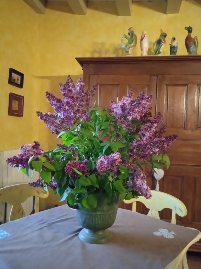 chambre dans Prieuré de caractère XVIII siècle Planioles Extérieur photo